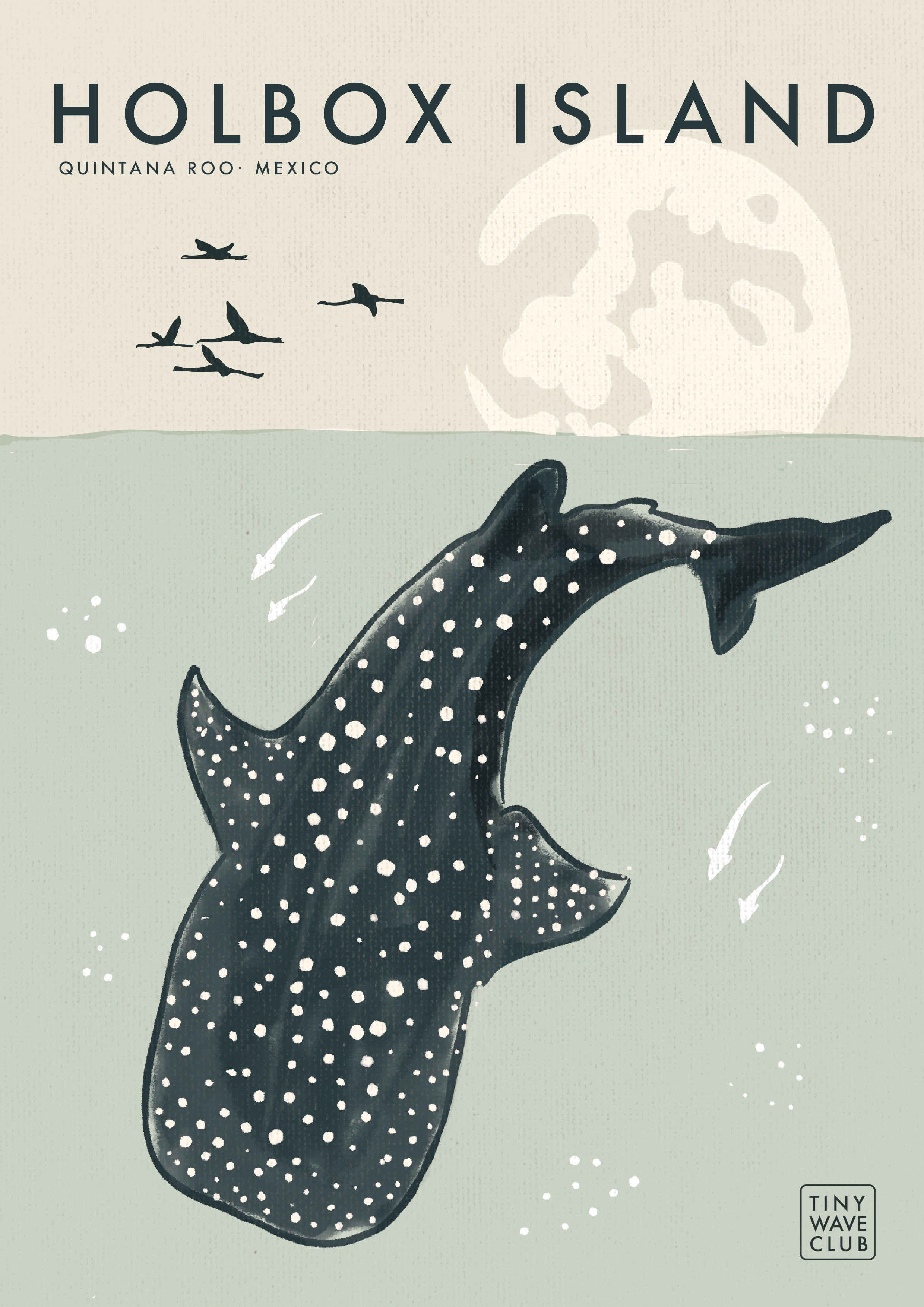 July's Wave: Whale Shark · Holbox