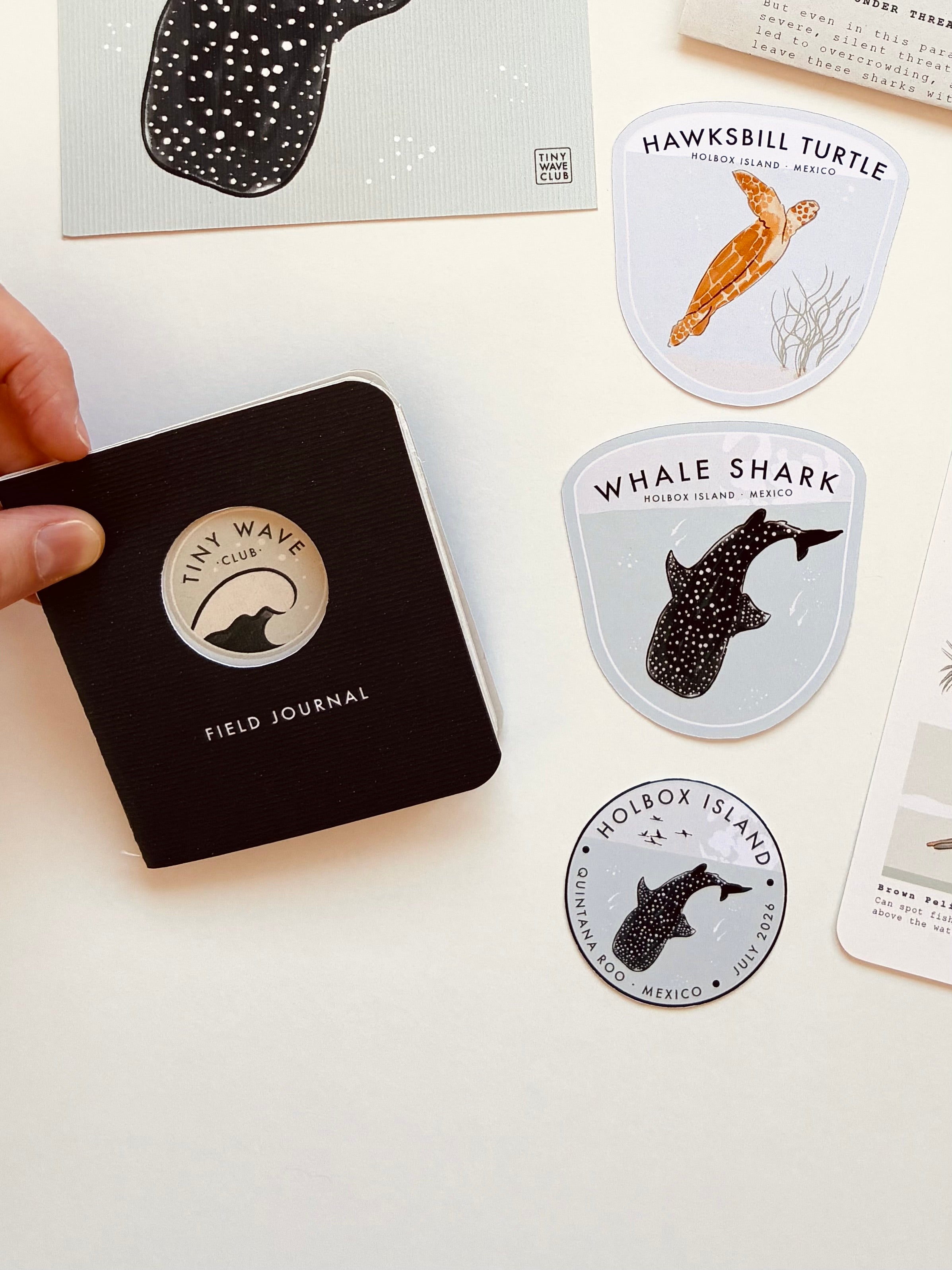 Monthly Mail Club
