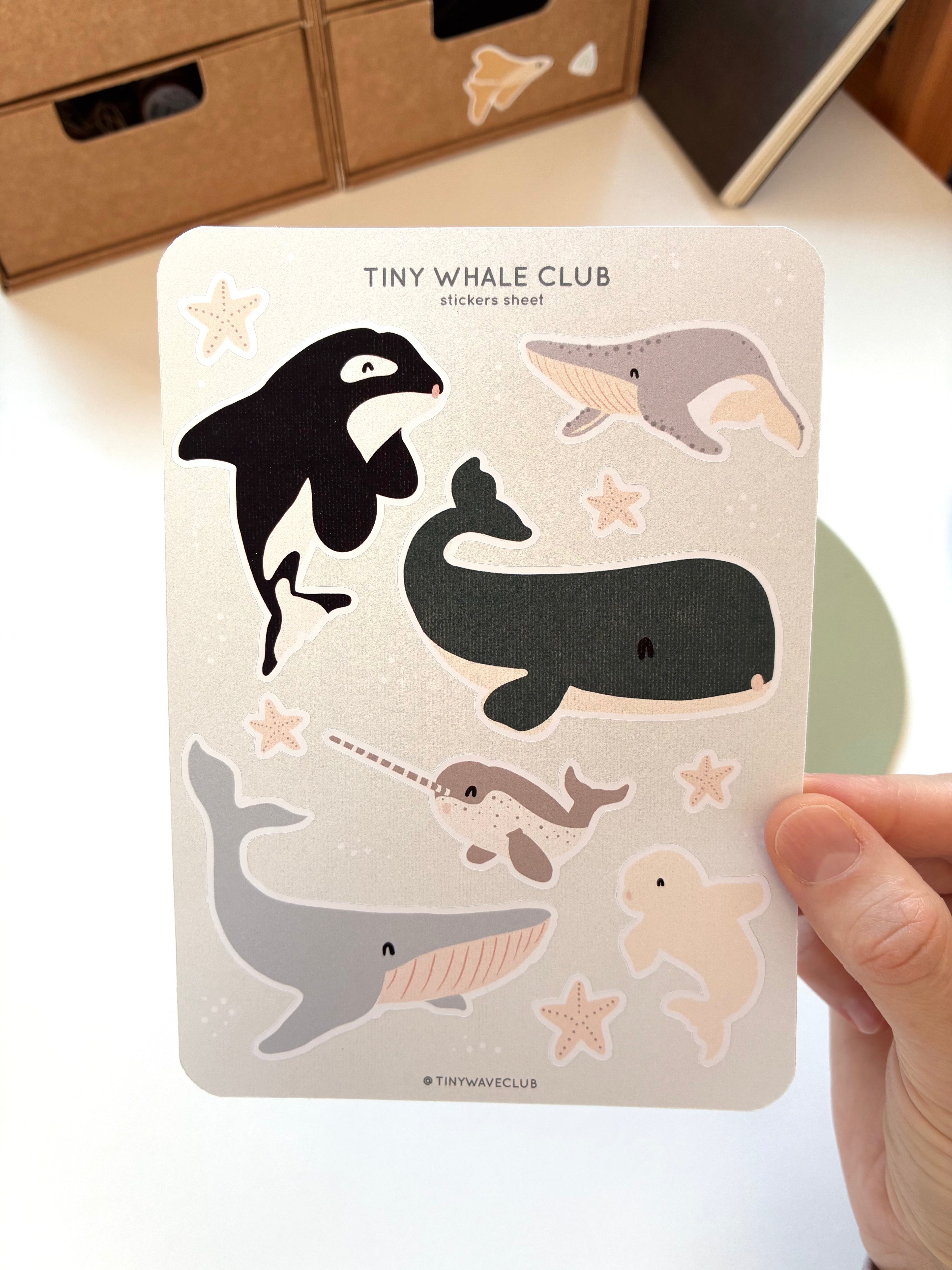Tiny whales club sticker sheet