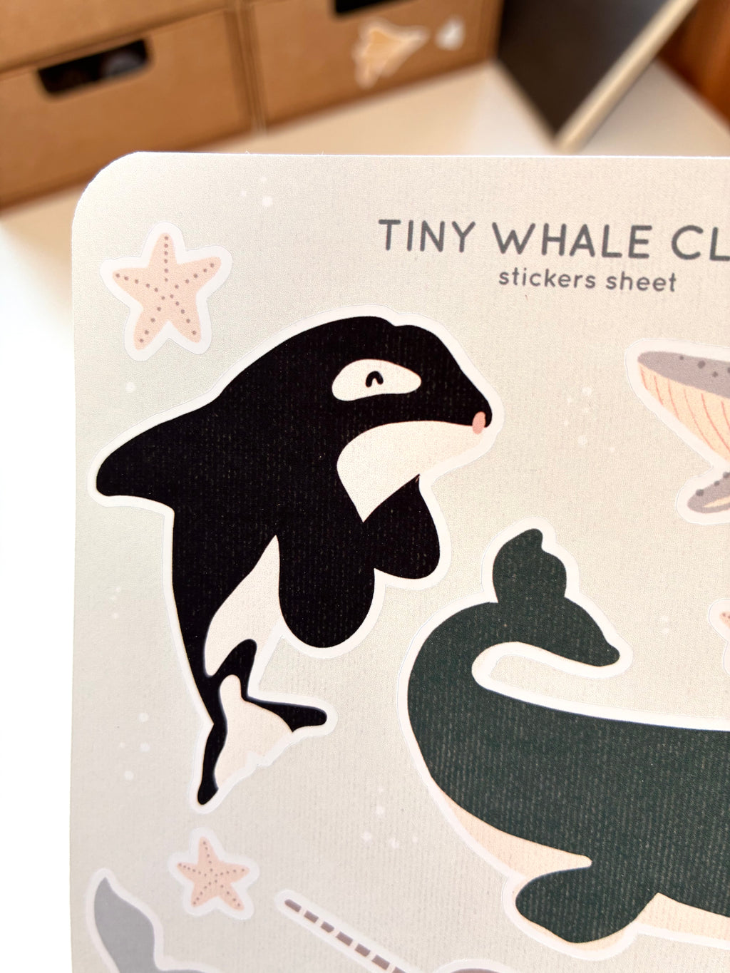 Tiny whales club sticker sheet
