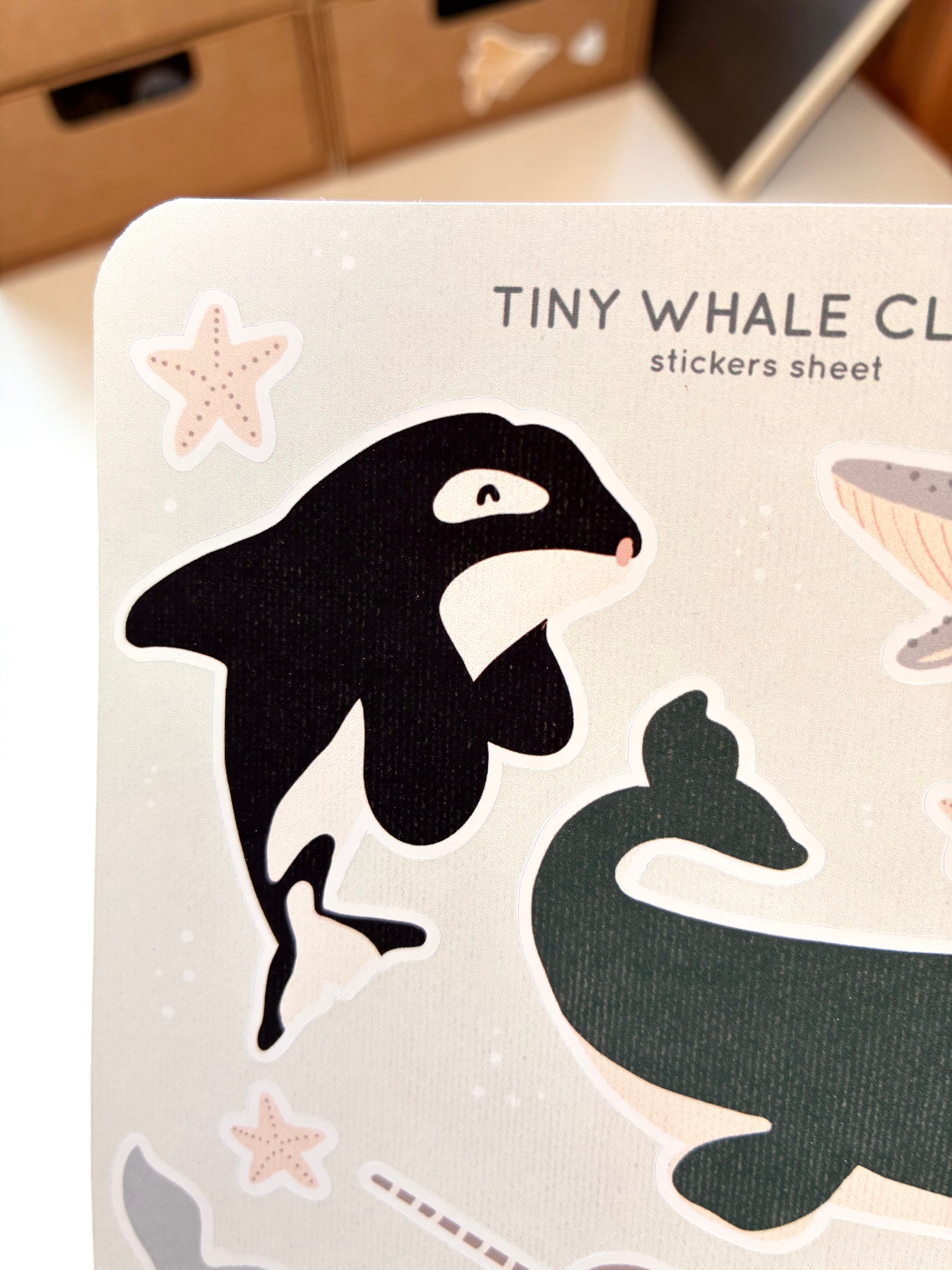 Tiny whales club sticker sheet