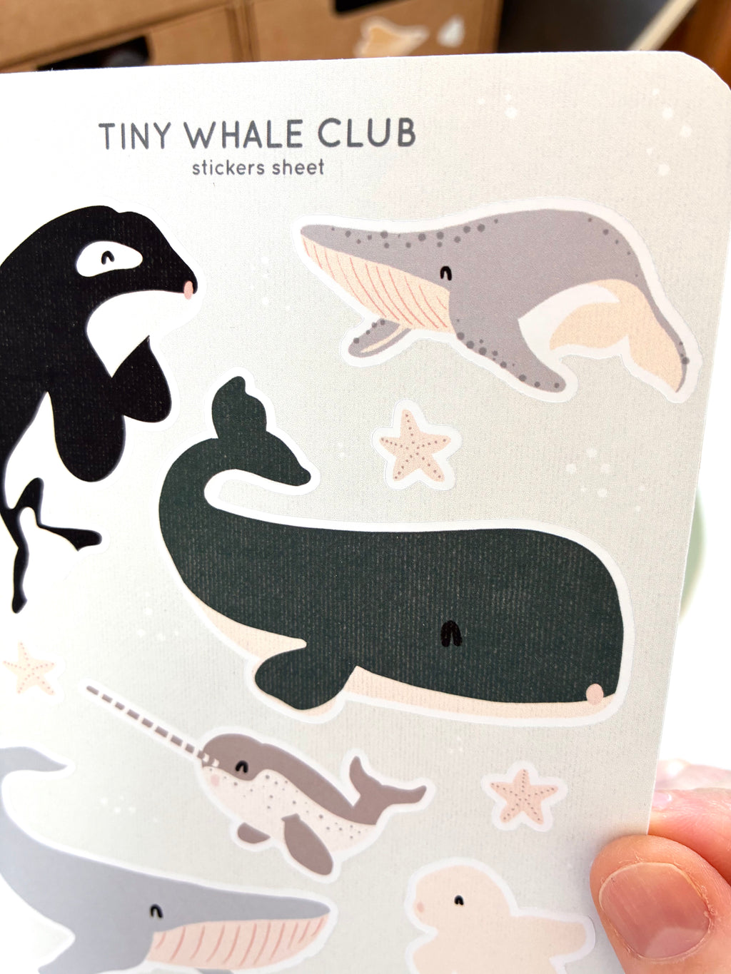 Tiny whales club sticker sheet