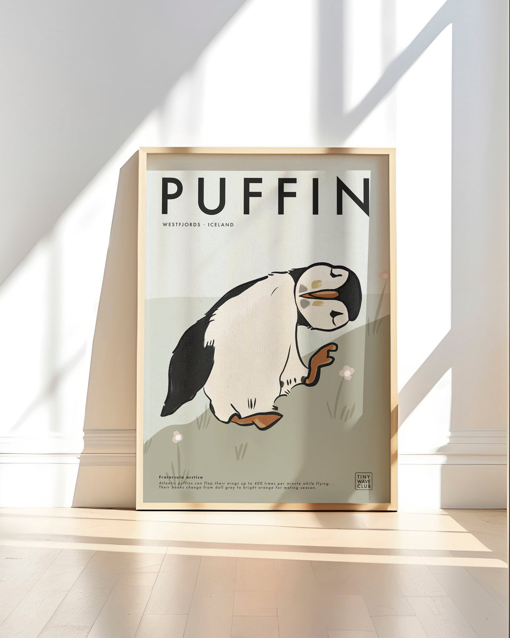 Puffin Poster · Westfjords, Iceland