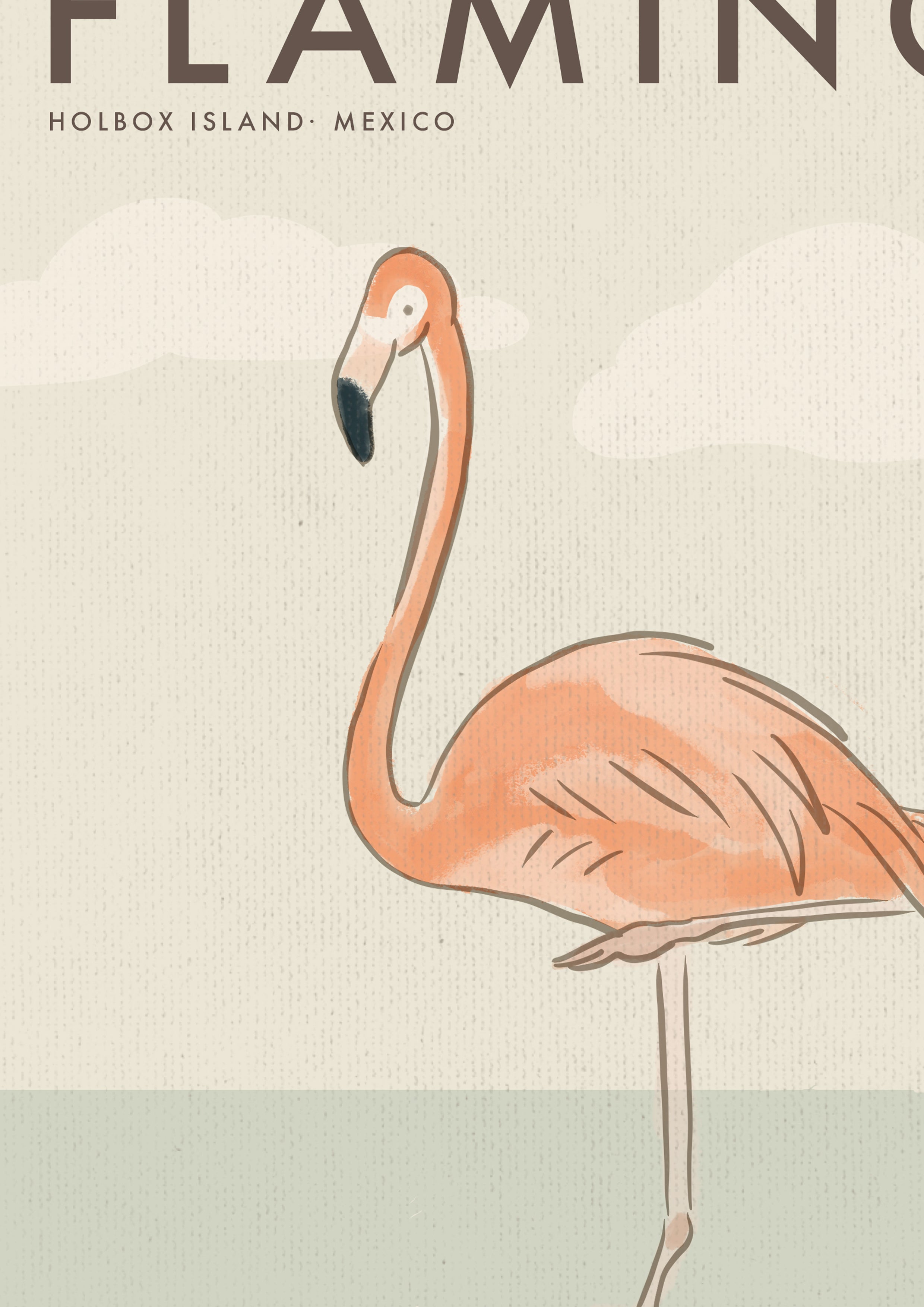American Flamingo Poster · Holbox Island, Mexico