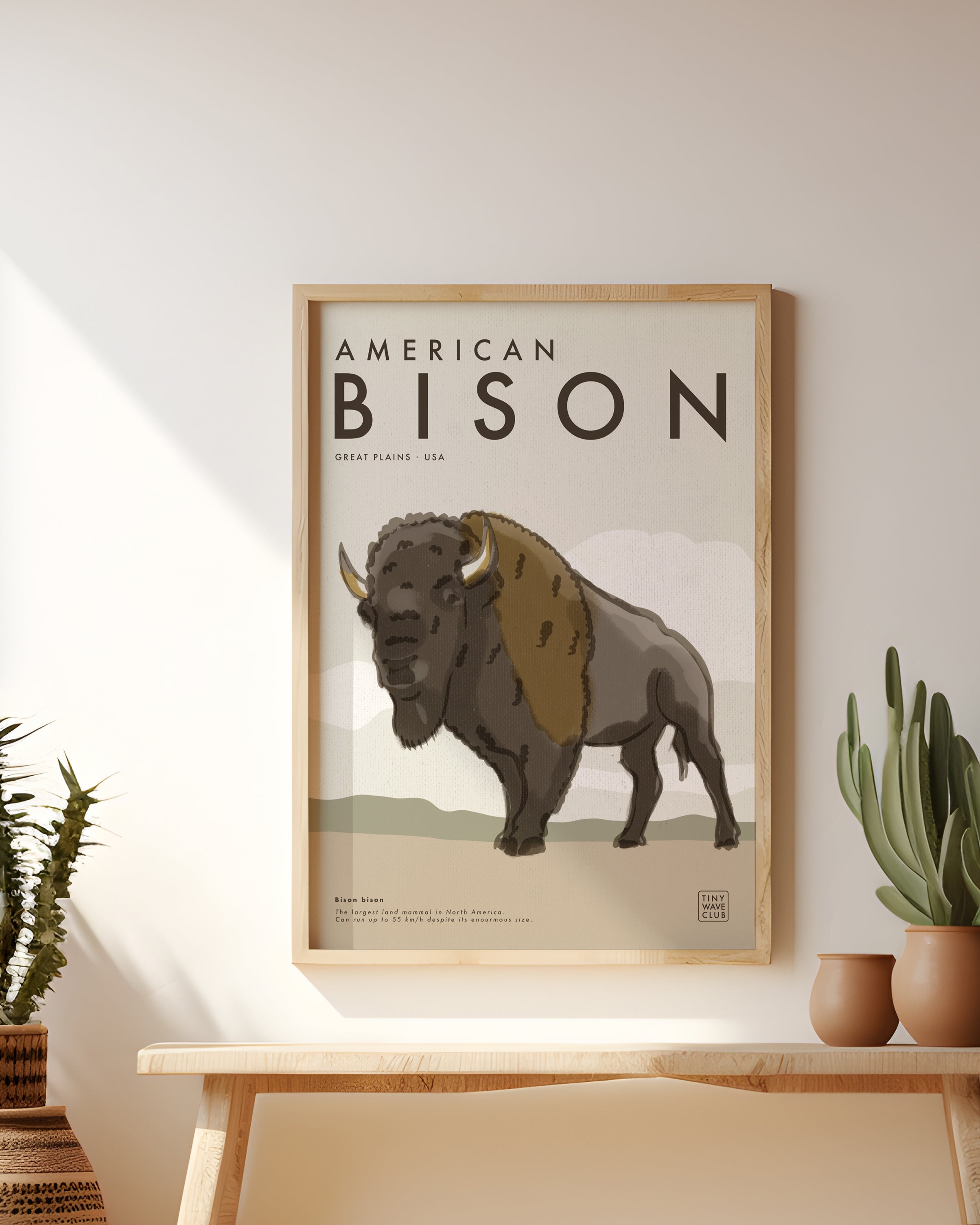 American Bison · Great Plains, USA