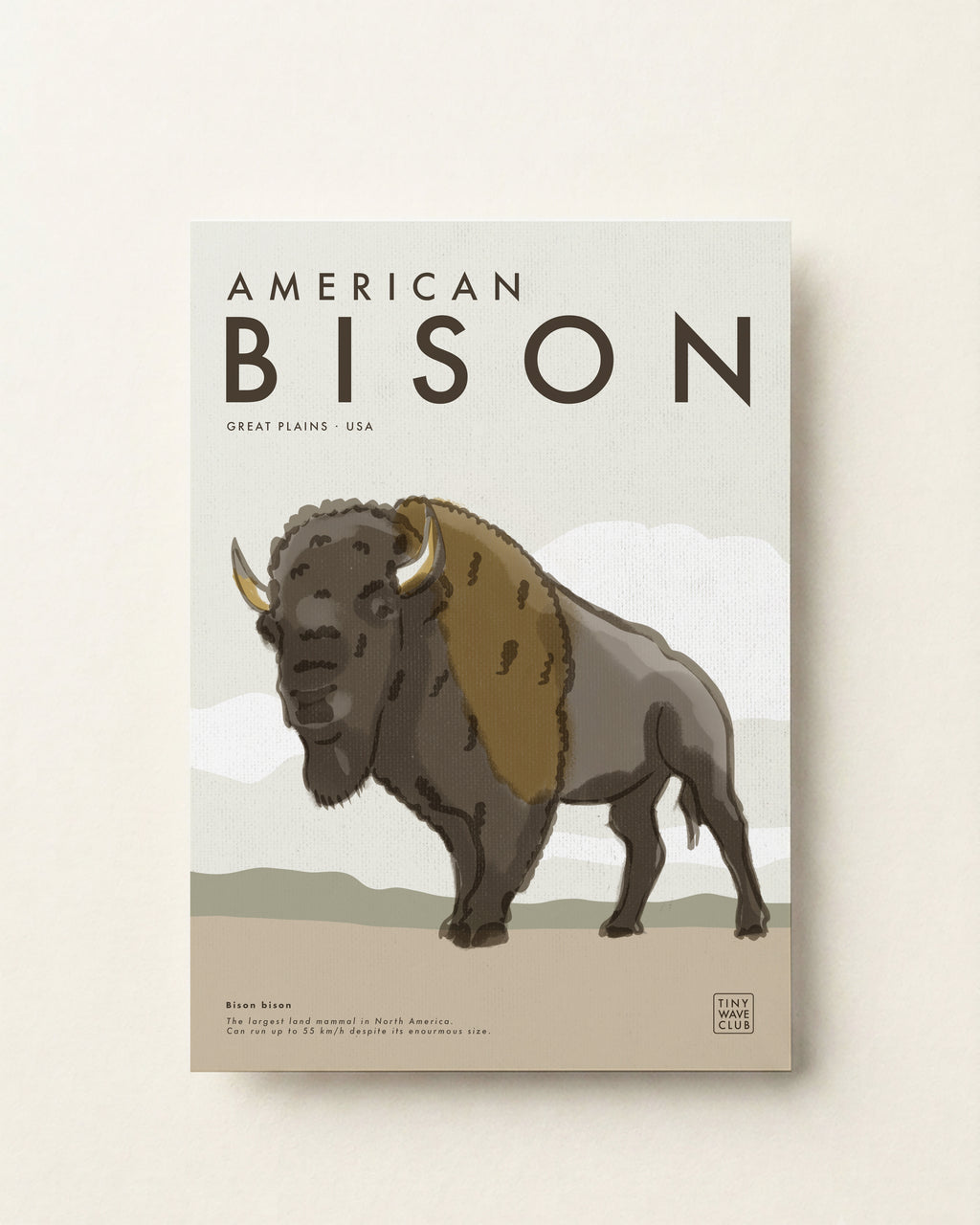 American Bison · Great Plains, USA