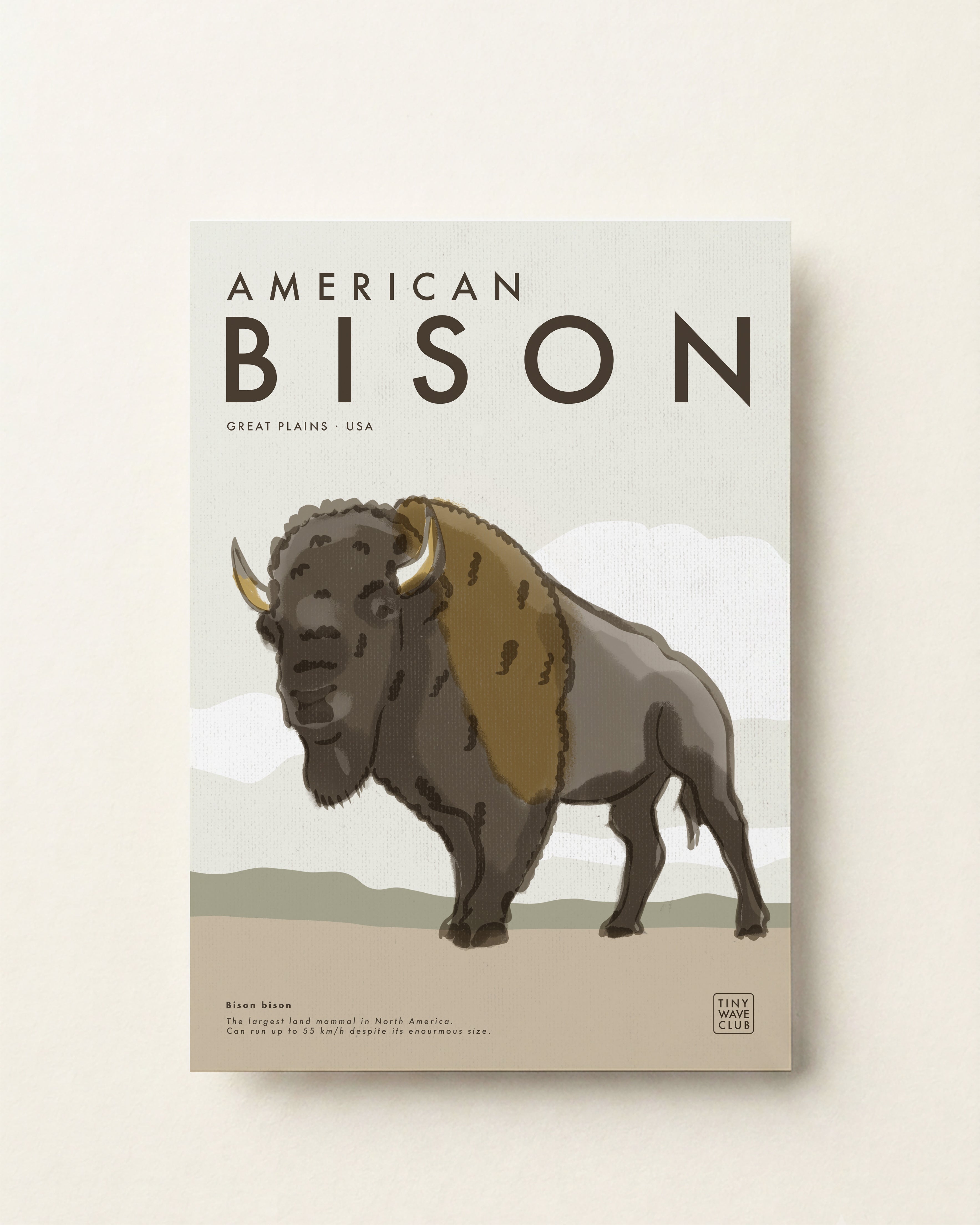 American Bison · Great Plains, USA