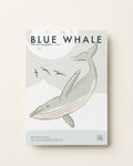 Blue Whale · Gulf of Corcovado, Chile