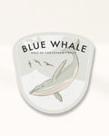 Blue Whale Badge · Gulf of Corcovado, Chile