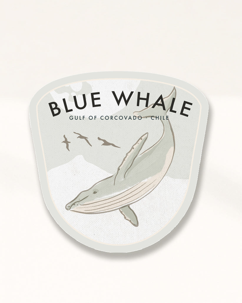 Blue Whale Badge · Gulf of Corcovado, Chile