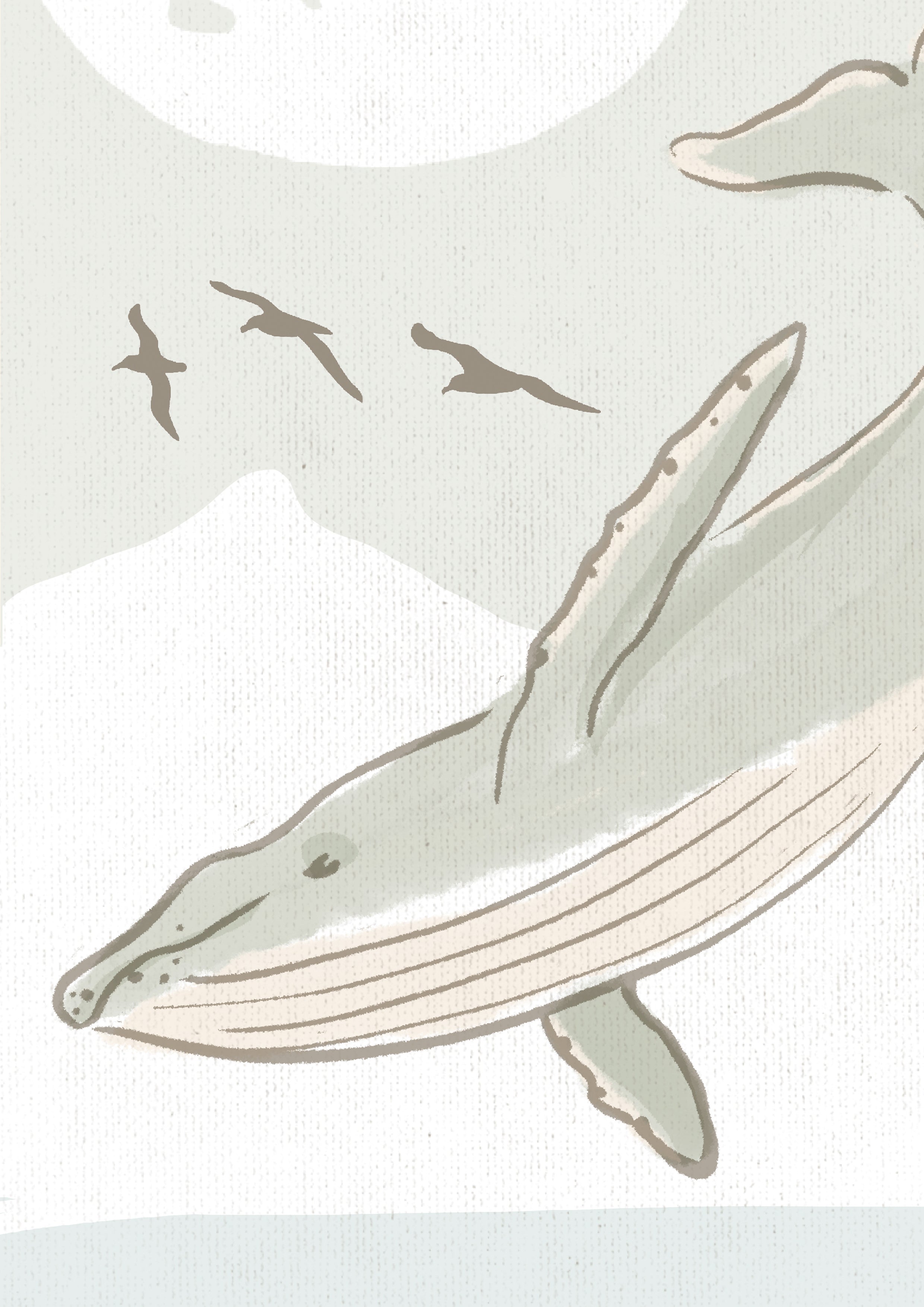 Blue Whale Poster · Gulf of Corcovado, Chile