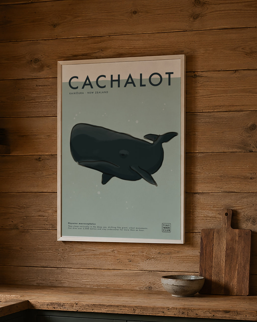 Cachalot (Sperm Whale) Poster · Kaikōura, New Zealand