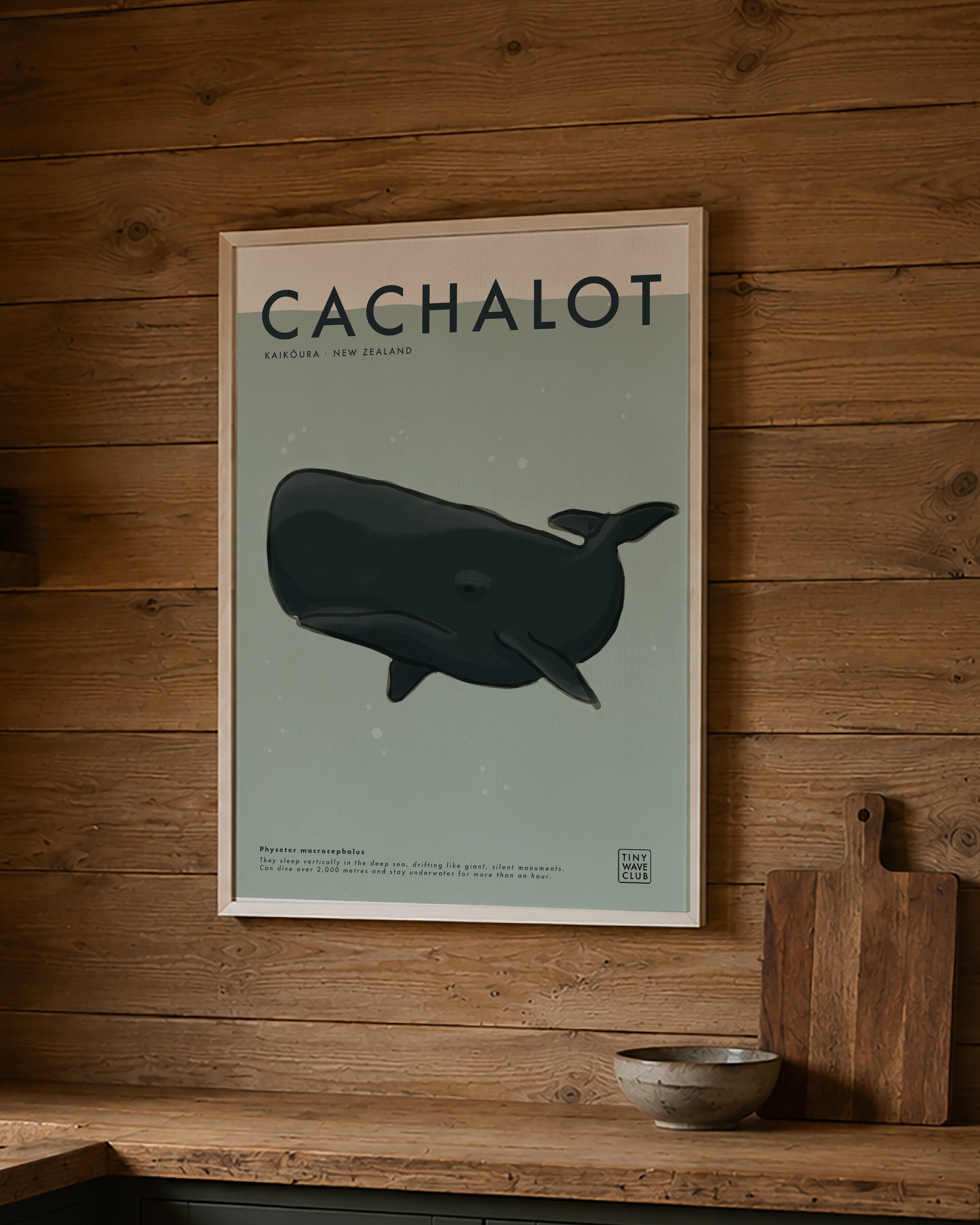 Cachalot (Sperm Whale) Poster · Kaikōura, New Zealand