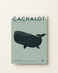 Cachalot (Sperm Whale) Poster · Kaikōura, New Zealand