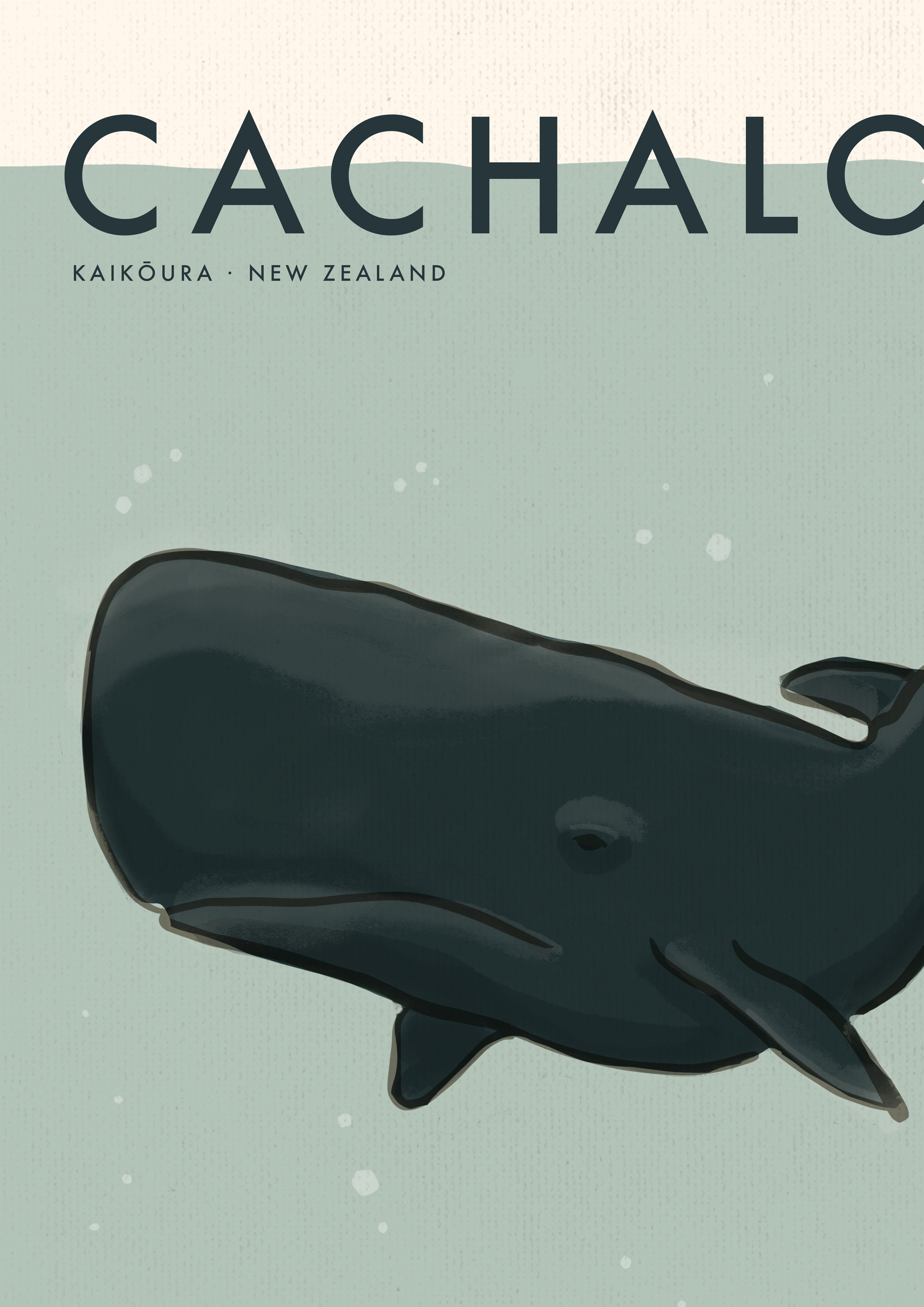 Cachalot (Sperm Whale) Poster · Kaikōura, New Zealand