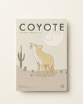 Coyote · High Desert, New Mexico, USA