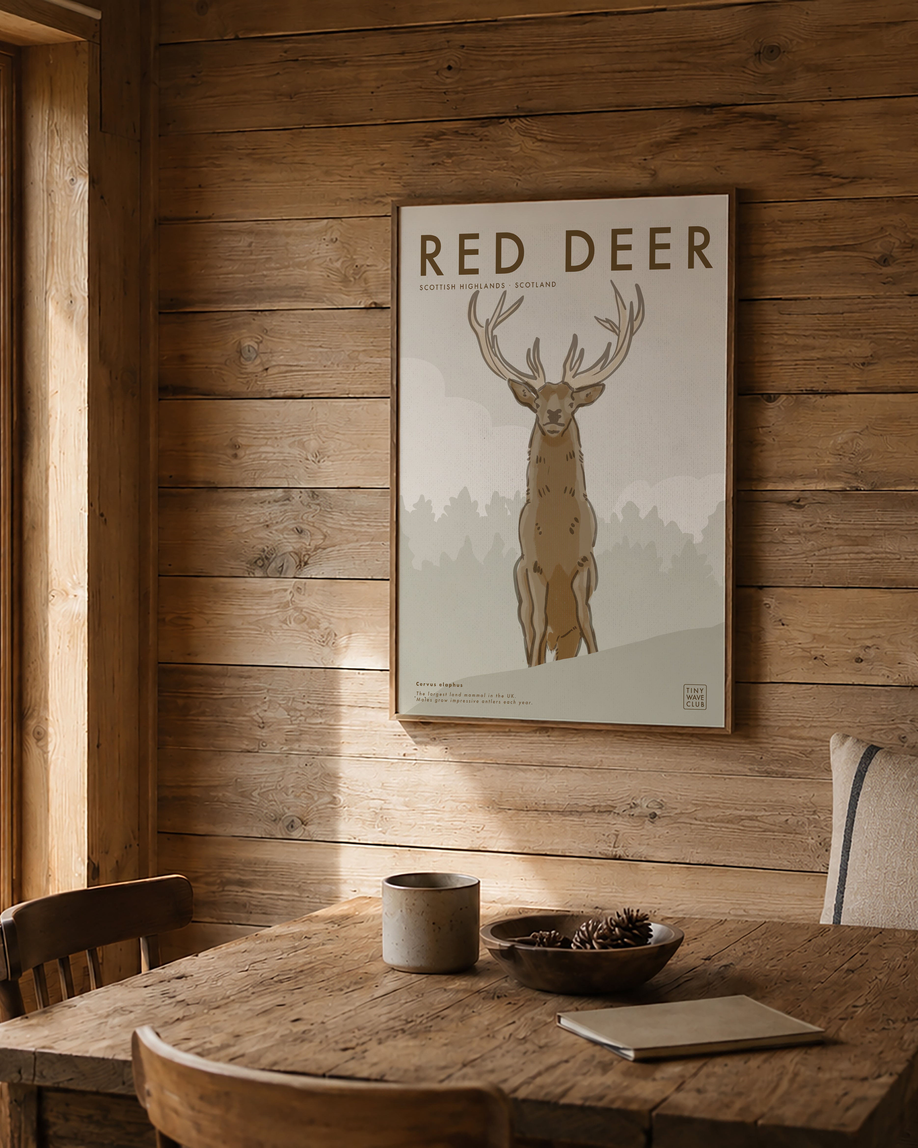 Red Deer · Scottish Highlands, Scotland