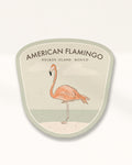 American Flamingo Badge · Holbox Island, Mexico