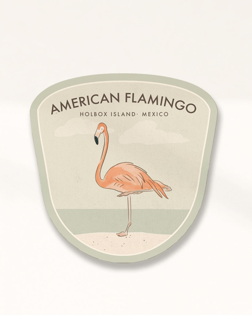 American Flamingo Badge · Holbox Island, Mexico