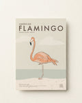 American Flamingo Poster · Holbox Island, Mexico