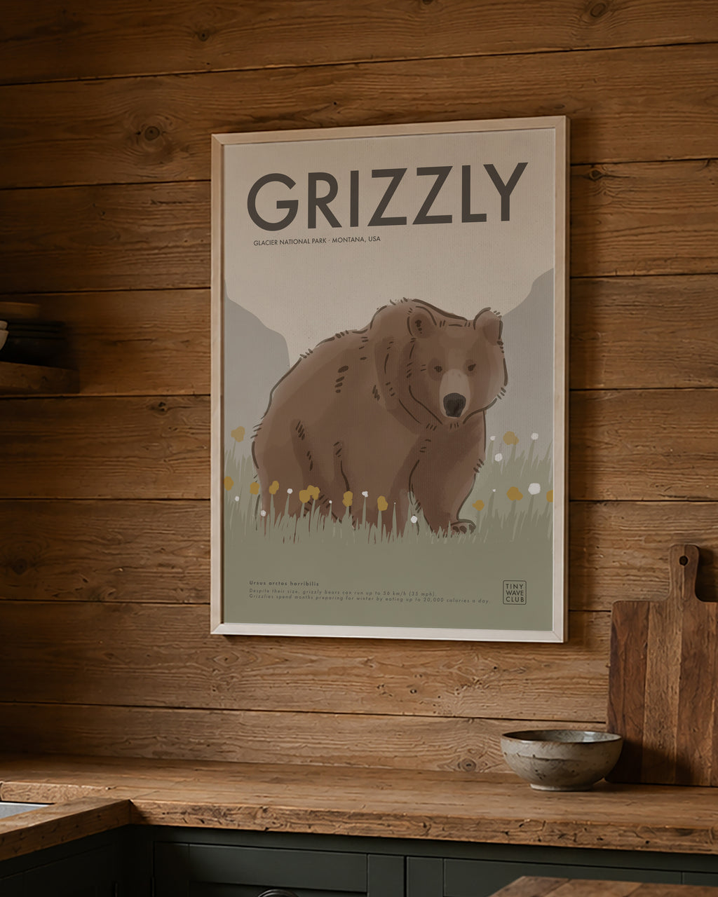 Grizzly Bear · Glacier National Park, Montana, USA