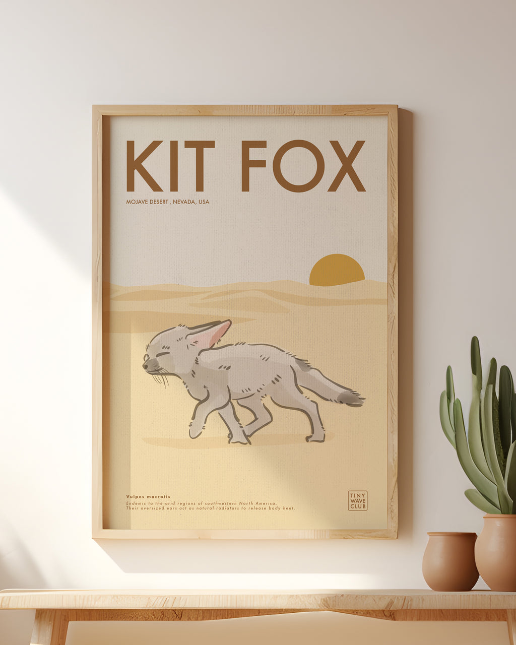 Kit Fox · Mojave Desert, Nevada, USA