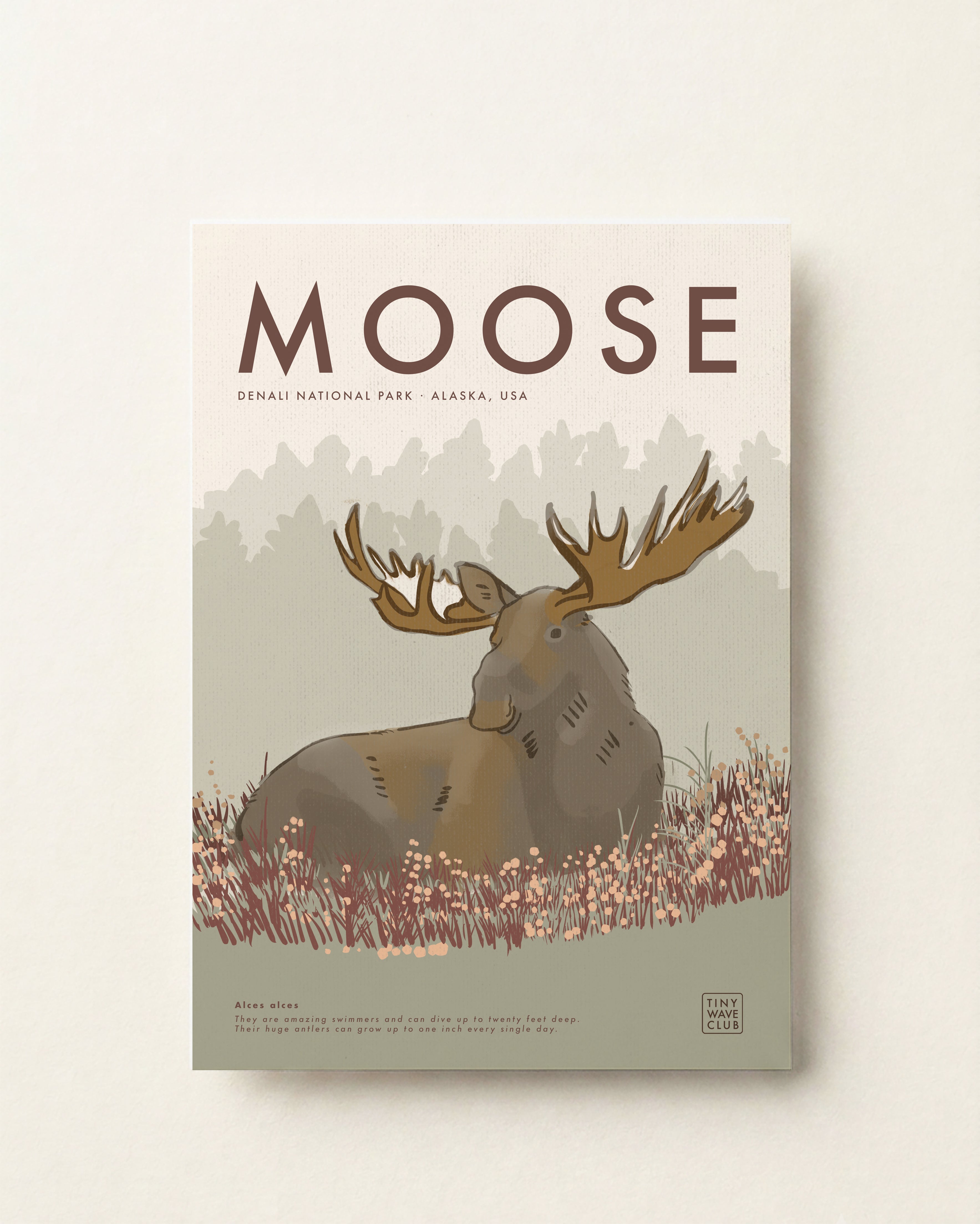Moose Poster · Denali National Park, Alaska, USA