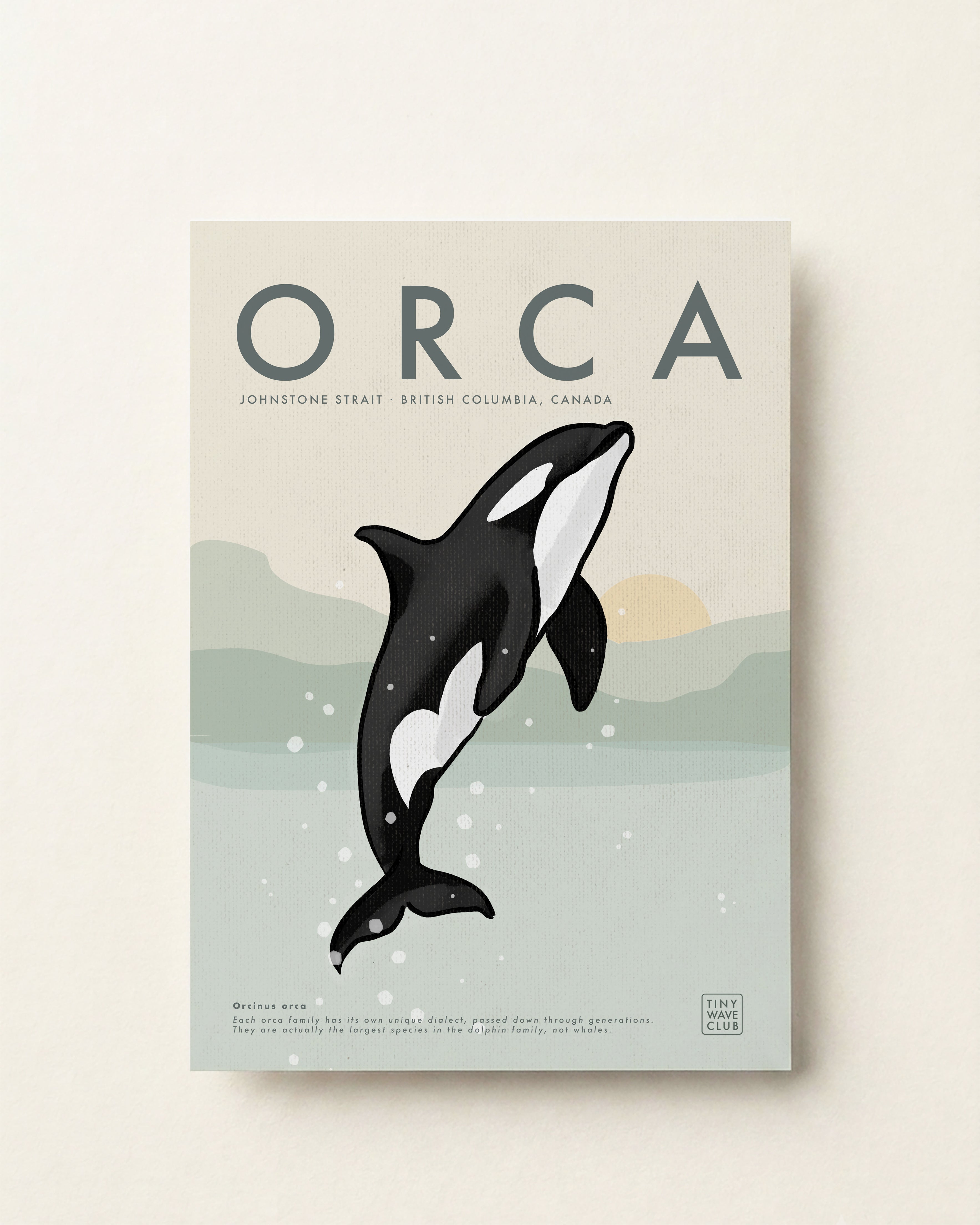 Orca Poster · Johnstone Strait · British Columbia, Canada