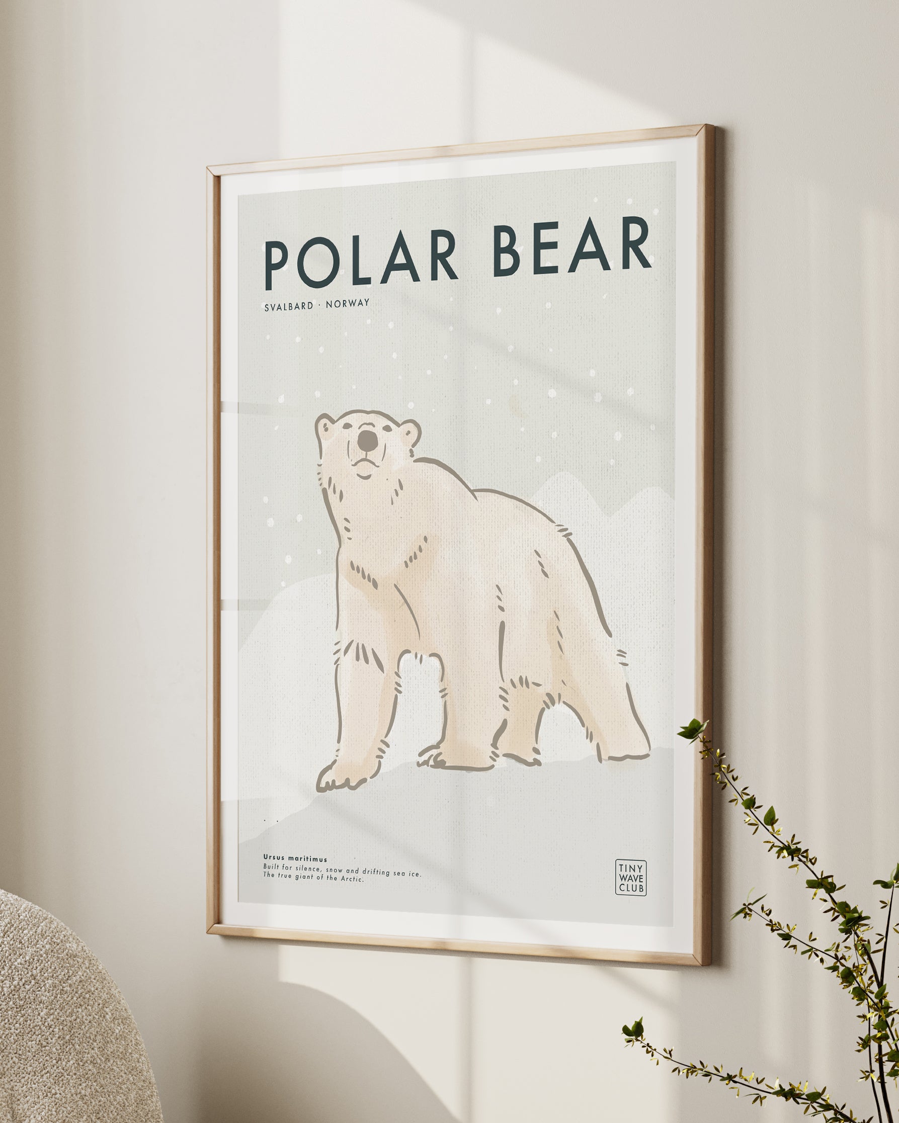 Polar Bear · Svalbard, Norway