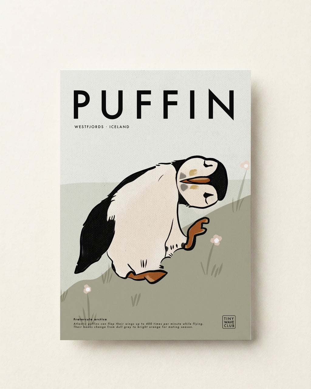 Puffin Poster · Westfjords, Iceland