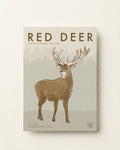 Red Deer · Scottish Highlands, Scotland