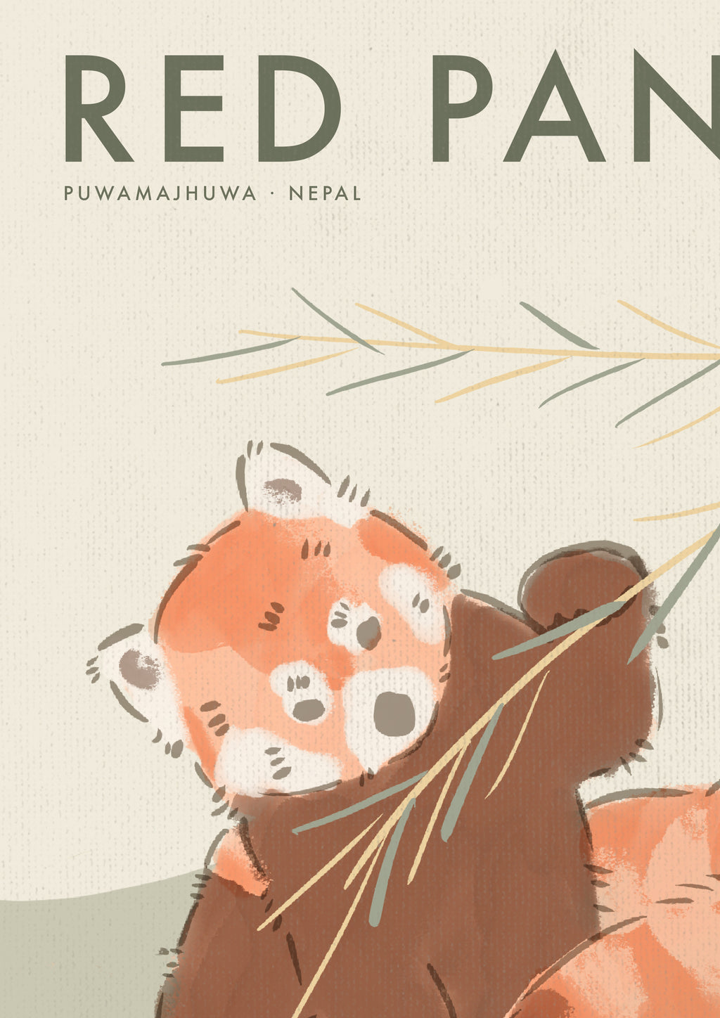 Red Panda Poster · Puwamajhuwa, Nepal
