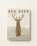 Red Deer Poster · Scottish Highlands, Scotland
