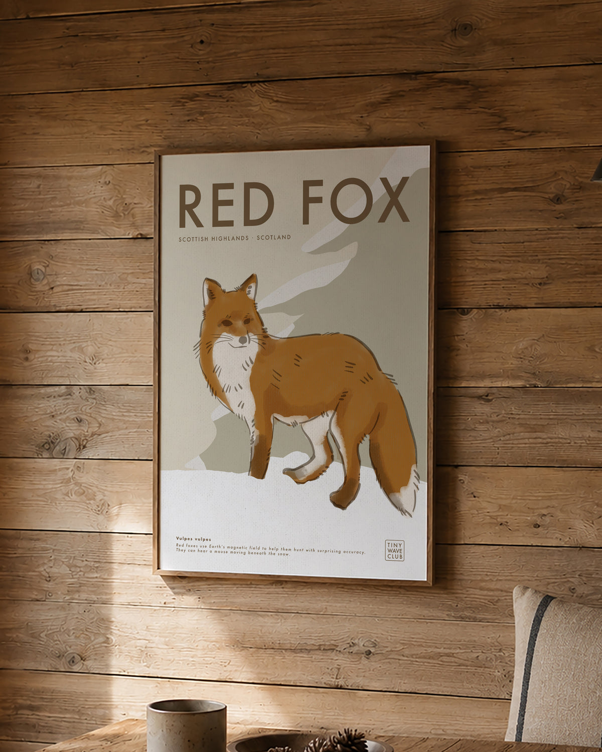 Red Fox Poster · Scottish Highlands, Scotland