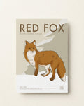Red Fox Poster · Scottish Highlands, Scotland