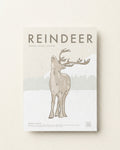 Reindeer Poster · Finnish Lapland, Finland