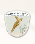 Hawksbill Turtle Badge · Holbox Island, Mexico