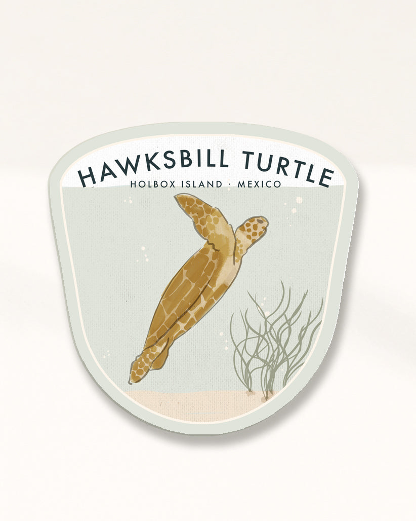 Hawksbill Turtle Badge · Holbox Island, Mexico