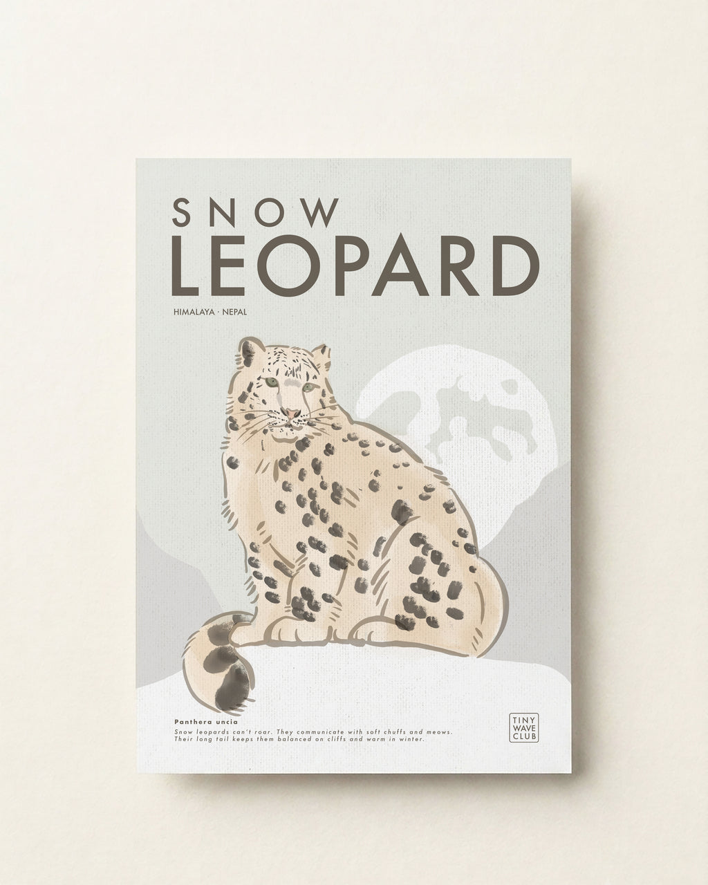 Snow Leopard · Himalaya, Nepal