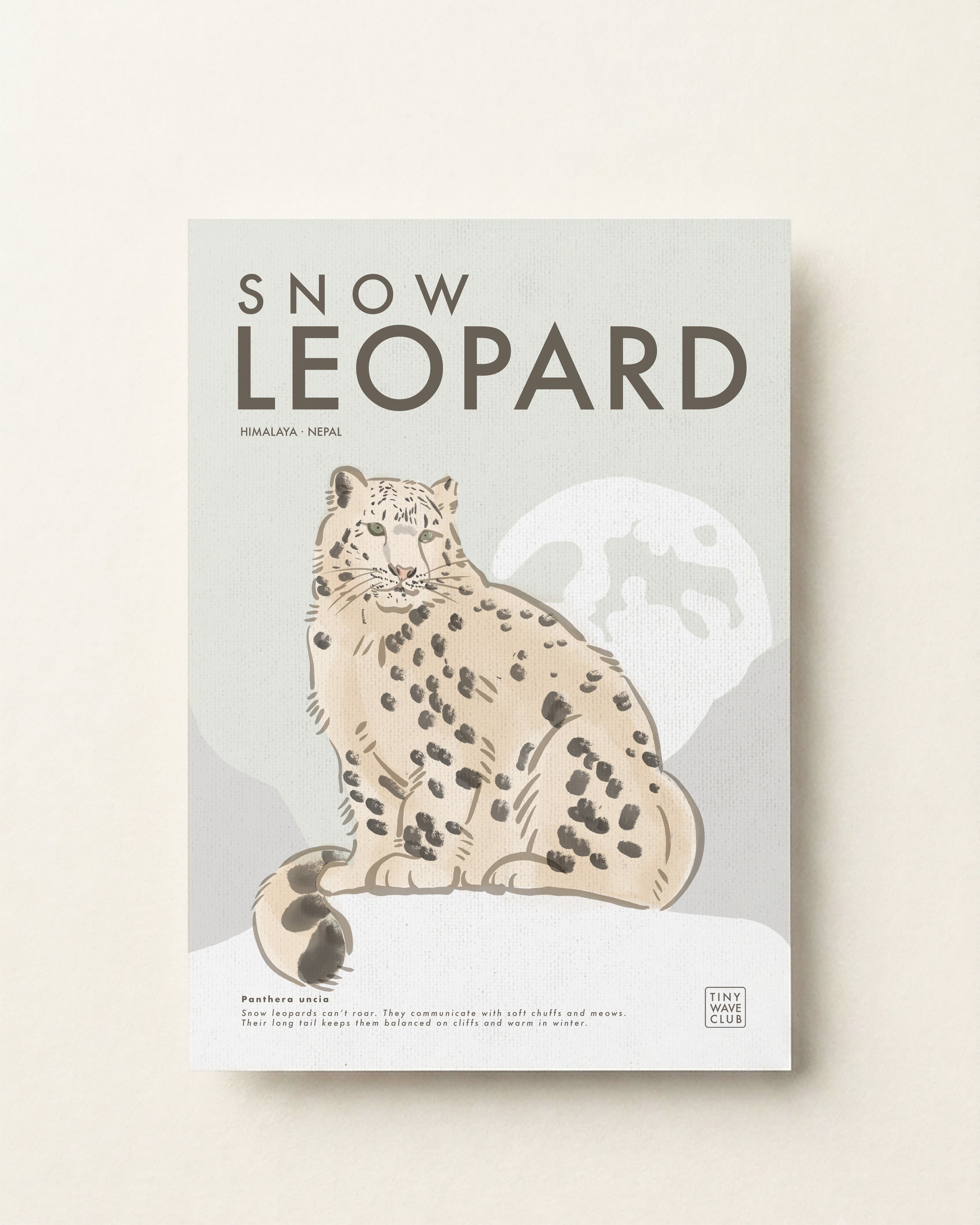 Snow Leopard · Himalaya, Nepal