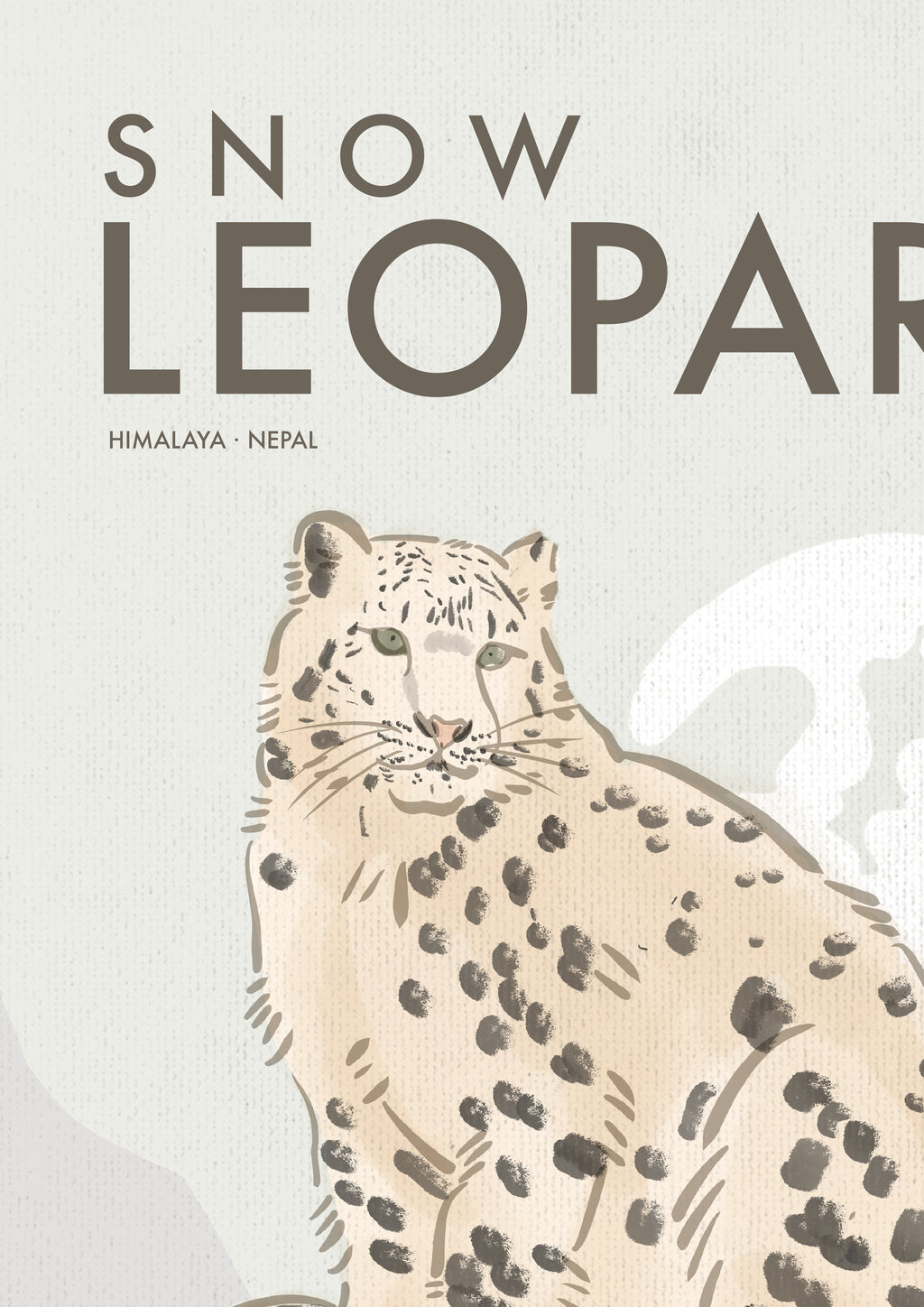 Snow Leopard Poster · Himalaya, Nepal