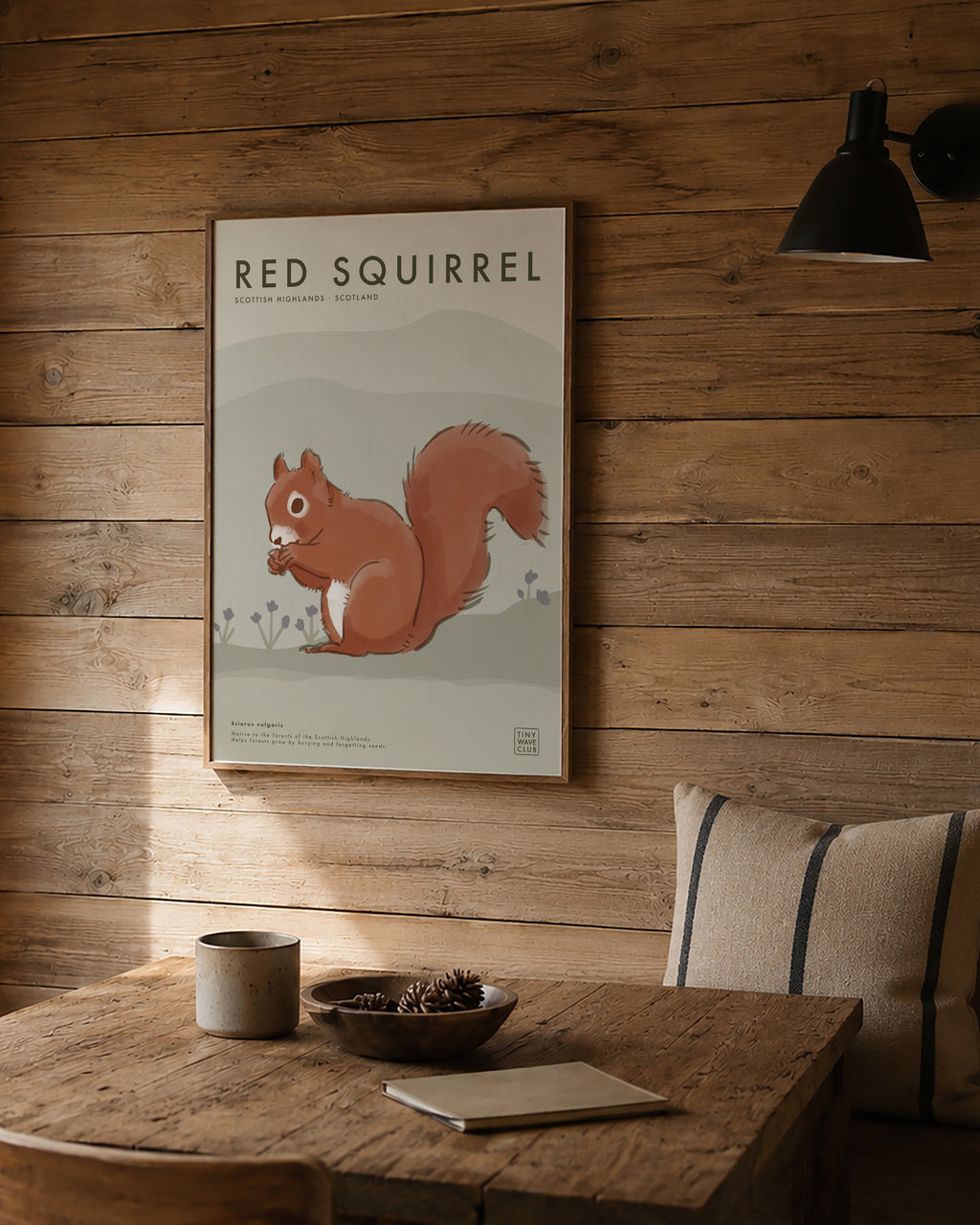 Red Squirrel Poster · Scottish Highlands, Scotland