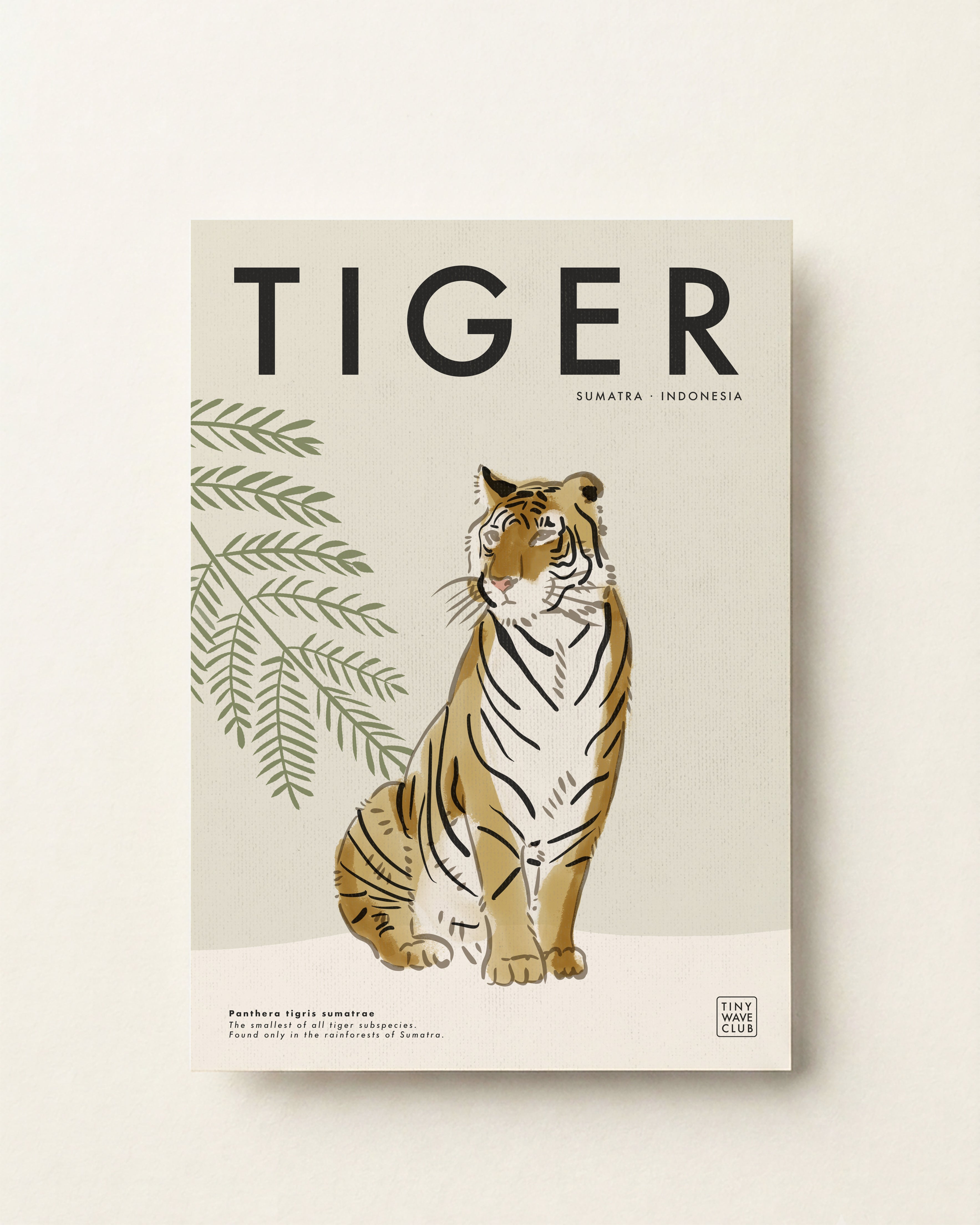 Tiger · Sumatra, Indonesia