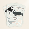 Tiny whales club sticker sheet