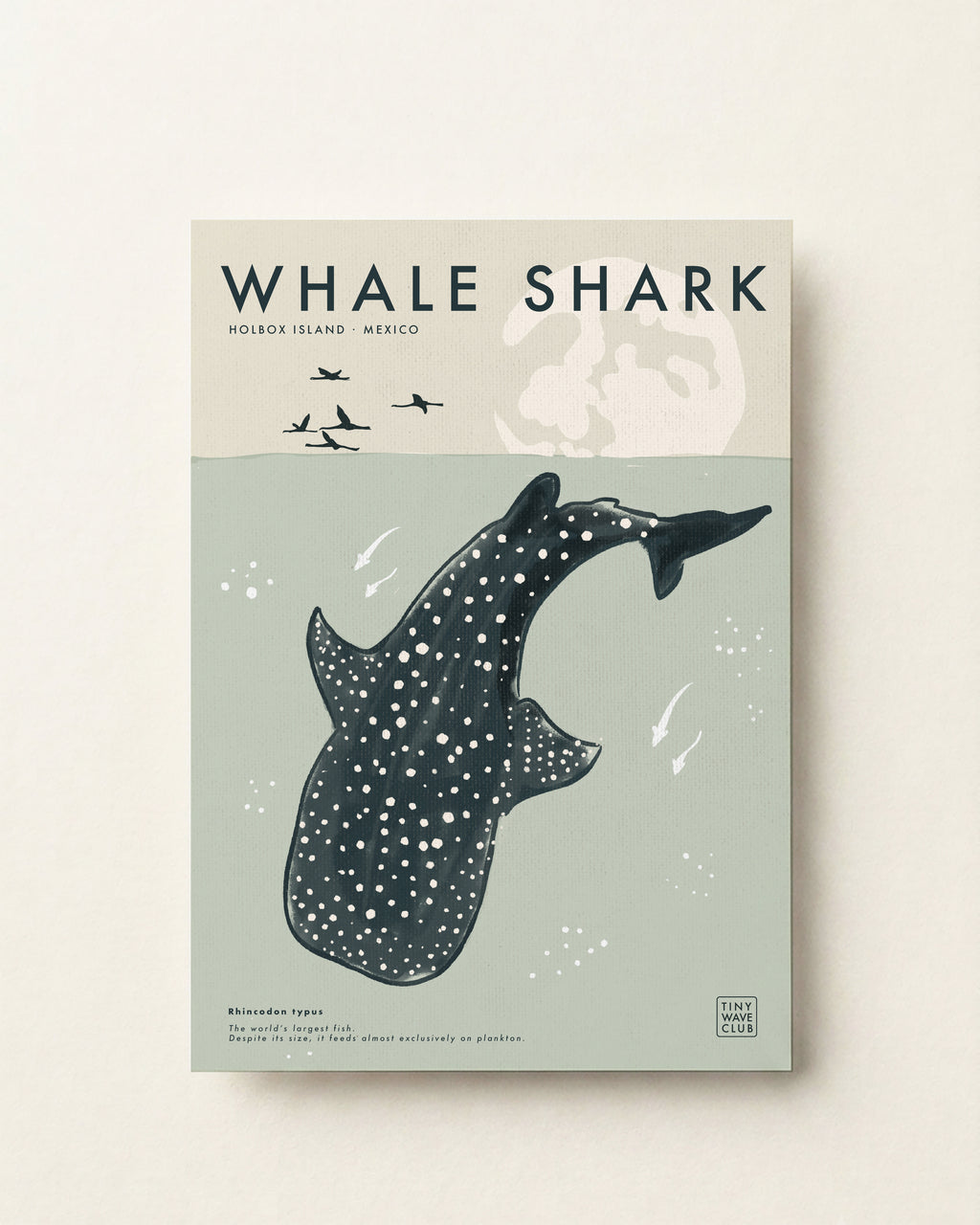 Whale Shark Poster · Holbox Island, Mexico