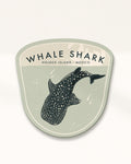 Whale Shark Badge · Holbox Island, Mexico