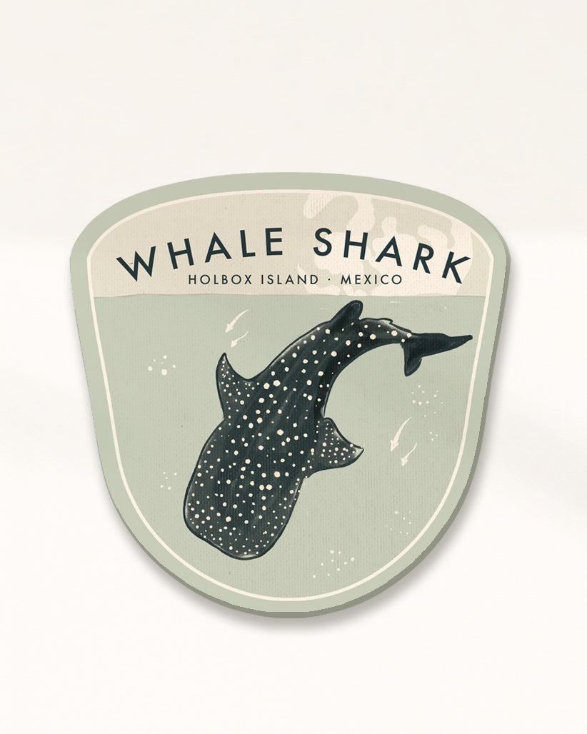 Whale Shark Badge · Holbox Island, Mexico
